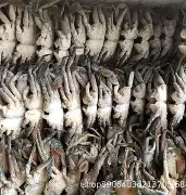 贝博体育 -包含螃澳C{g濶凔蓷筨炋S襸/嗻$C6痩(????鷖]氆p释€守L*?xG趃劇的词条